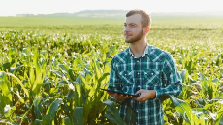 come diventare agronomo