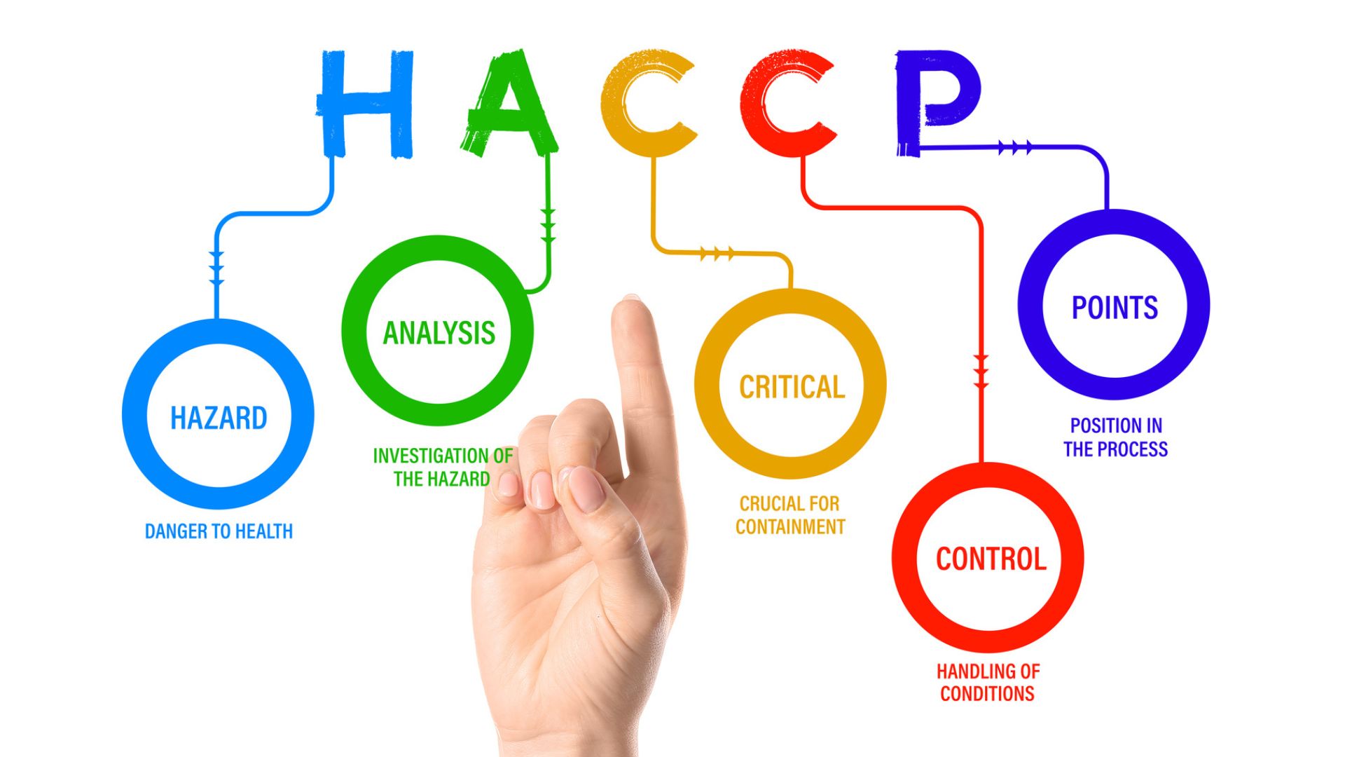 Cos’è l’HACCP: definizione e funzionalità
